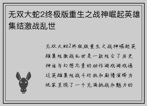 无双大蛇2终极版重生之战神崛起英雄集结激战乱世